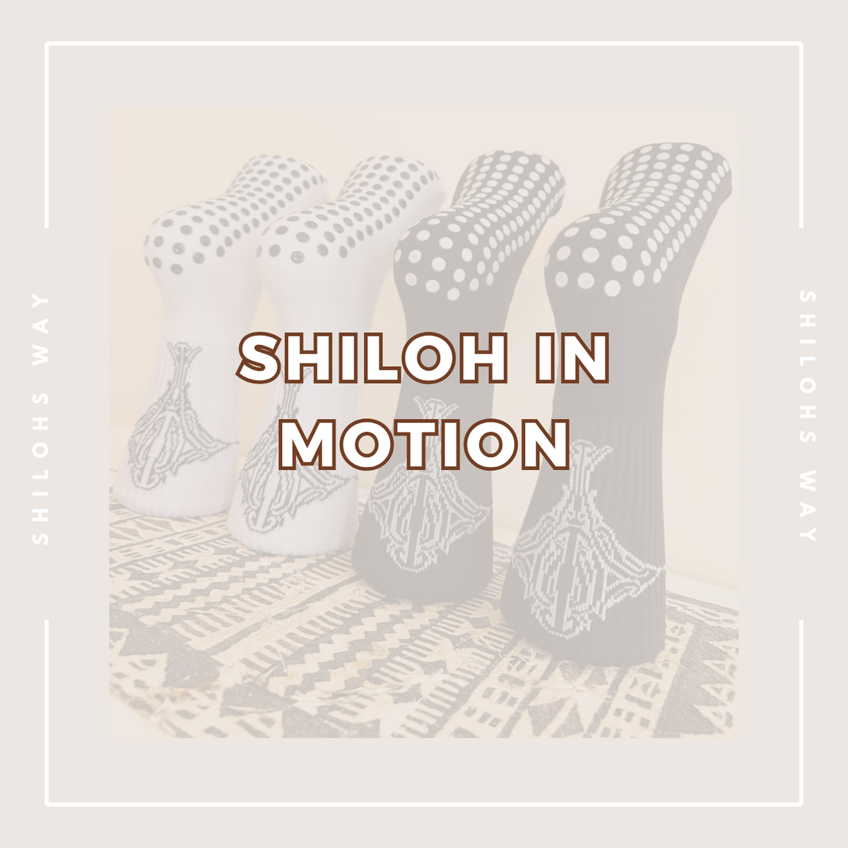 SHILOH IN MOTION